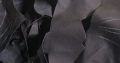 Genuine leather off cuts for sale