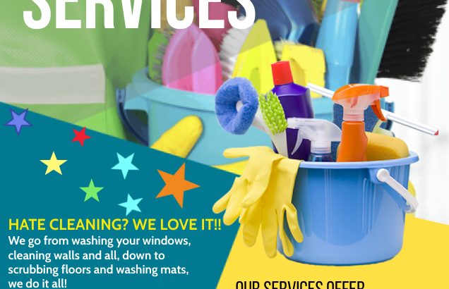 Dee’s cleaning projects