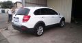 Window tinting smash and grab