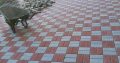 KING CONSTRUCTIONS-TARRING,PAVING,RETURNER WALLS