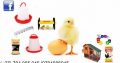 Chickens and Poultry products available at good prices