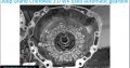 Jeep Grand Cherokee 3.0 WK 2005-10 automatic gearboxes for sale