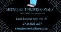 Msunduzi IT Professional’s