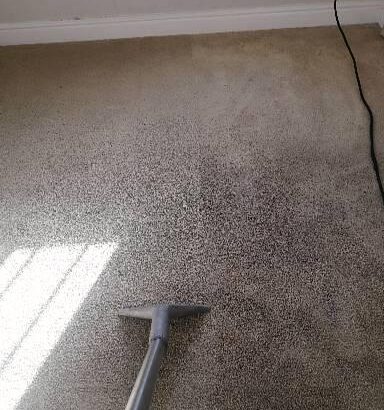 Carpet Steam Cleaning Services