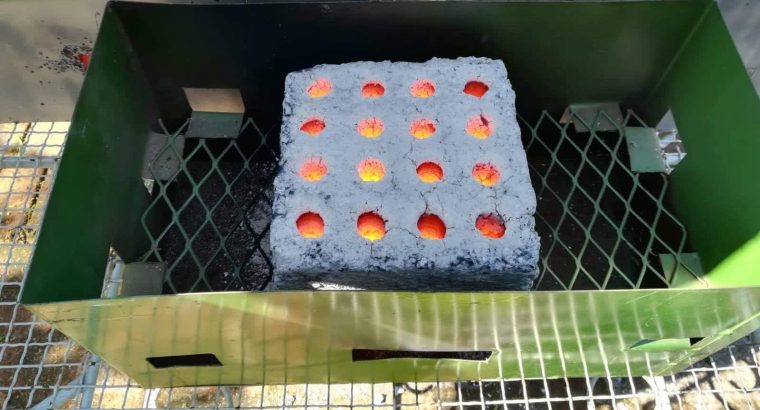 Bio Brick