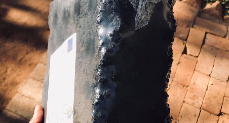 Bio Brick