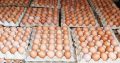 Eggs, Potatoes, oranges