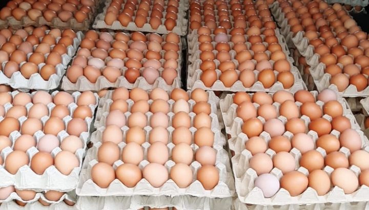 Eggs, Potatoes, oranges
