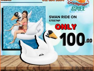 Swan Ride On ONLY R100 at Wierdapark Midas!