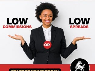Start Trading Today