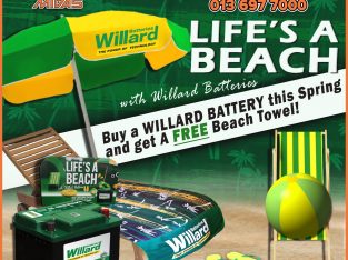 Buy a Willard Battery this spring & get a FREE beach towel!
