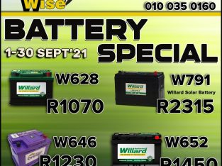 Willard Battery Special at Wheel Wise Kliprivier!