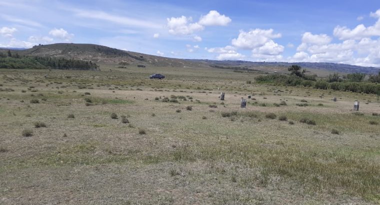 PRIME 24 1/8 ACRES PLOTS FOR SALE AT OASIS MIRERA, NAIVASHA (Land