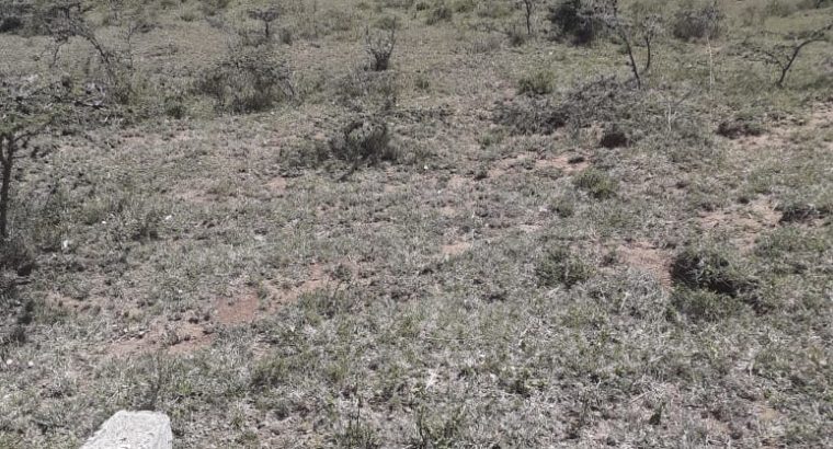 PRIME 24 1/8 ACRES PLOTS FOR SALE AT OASIS MIRERA, NAIVASHA (Land