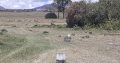 PRIME 24 1/8 ACRES PLOTS FOR SALE AT OASIS MIRERA, NAIVASHA (Land