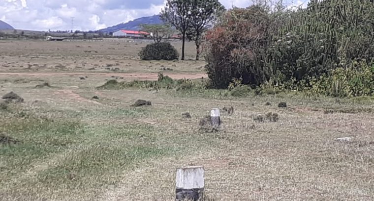 PRIME 24 1/8 ACRES PLOTS FOR SALE AT OASIS MIRERA, NAIVASHA (Land