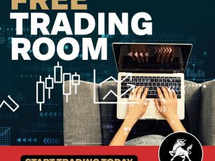 Learn how to Trade online!!! FREE