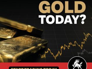 Have you traded GOLD today?