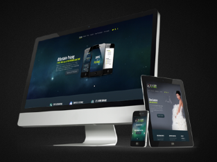 Business Website – Design – Branding