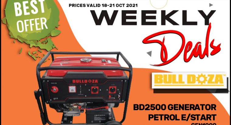 BullDoza Generator Petrol E/Start
