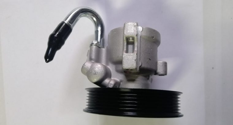 Chev Aveo F16D3 NEW Power Steering Pump