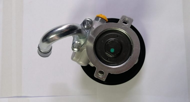 Chev Aveo F16D3 NEW Power Steering Pump