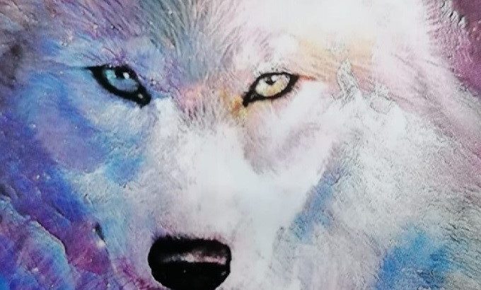 Diamond Dot Paint/Art