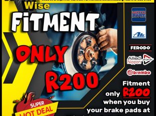 Brake Pad Fitment ONLY R200!