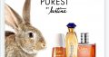 Avon Justine consultant