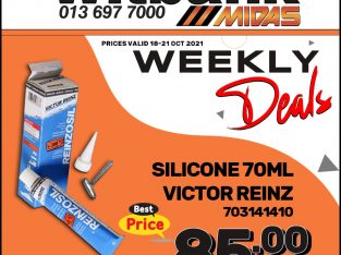 Victor Reinz Silicone Sealant 70ML