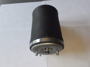 Bmw X5 E53 LH Rear air shock for sale