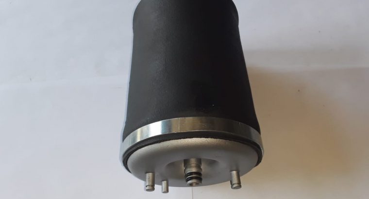 Bmw X5 E53 LH Rear air shock for sale
