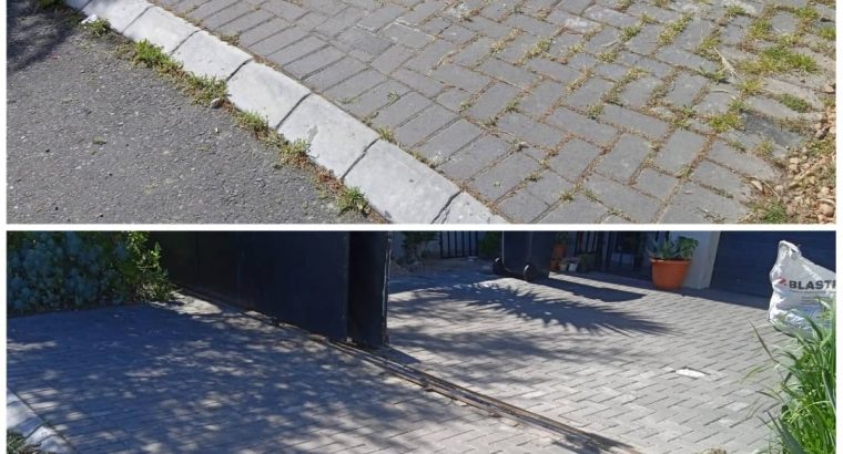 Artificial grass, paving and irrigation