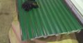 Nonpei Roofing