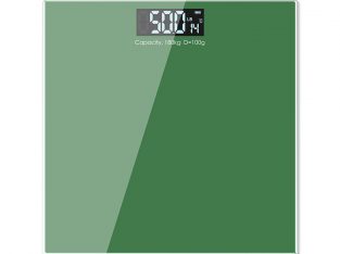Family Bathroom Scale