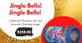 December savings at Wierdapark Midas!! Limited Time Offer!