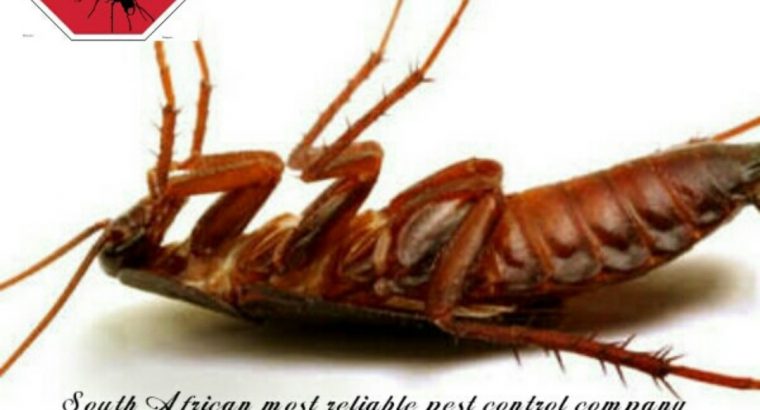 Extermination for cockroaches and other crwaling and flying insec