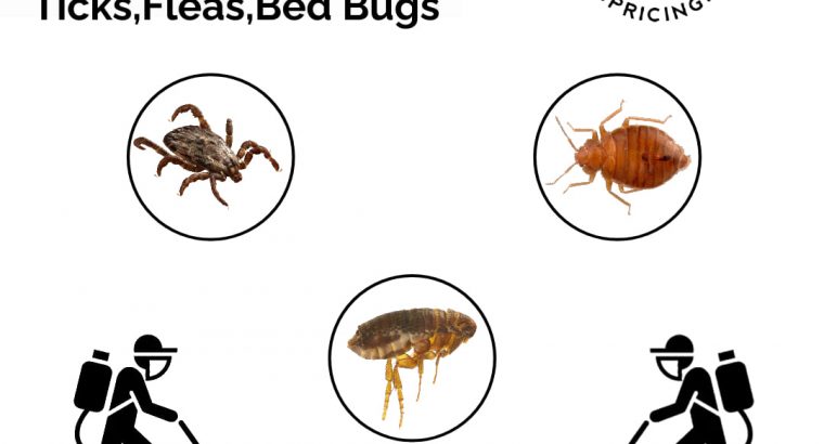 EVOPEST Pest Control Services