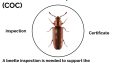 EVOPEST Pest Control Services