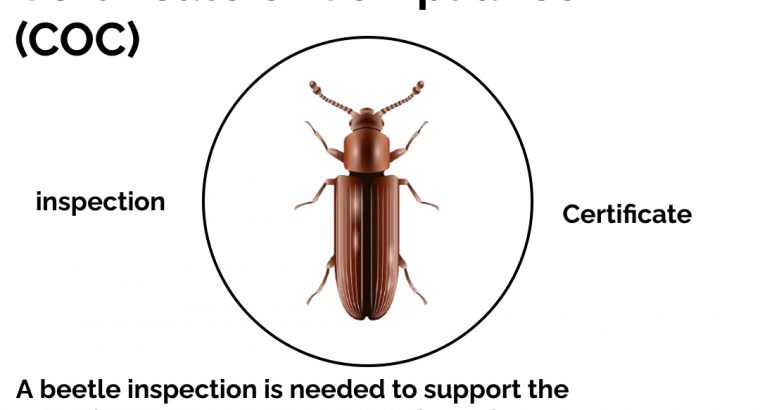 EVOPEST Pest Control Services