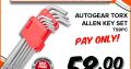Get this Autogear Torx Allen Key Set for ONLY R58!
