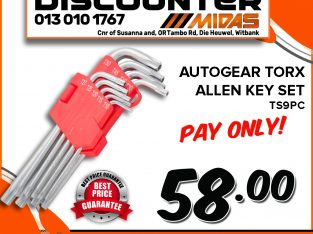 Get this Autogear Torx Allen Key Set for ONLY R58!