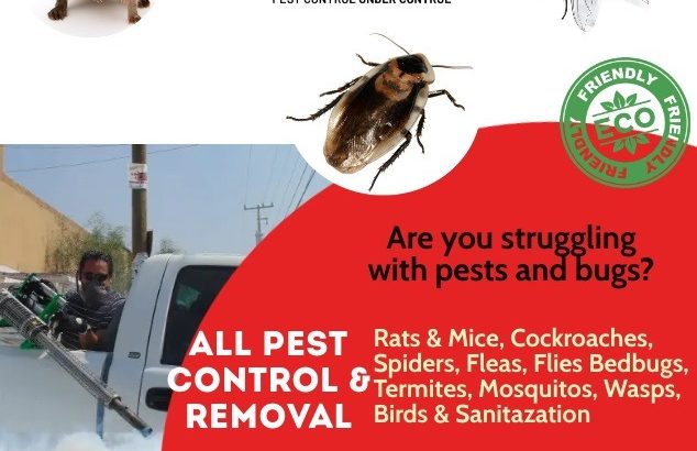PEST CONTROL SERVICES