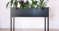 Daisy indoor and outdoor Steel plants box