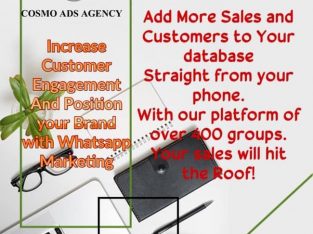 Social Media Marketing Cosmo Ads Agency