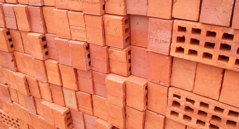 Selected Bricks