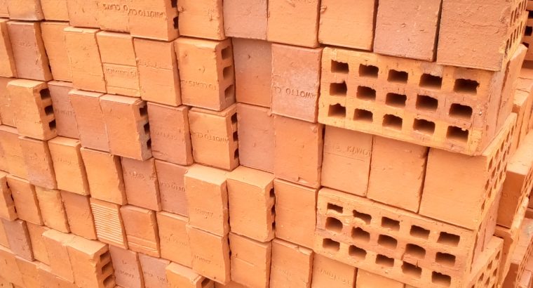 Selected Bricks