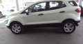 2020 Ford Eco-Sport 1.5 Engine Capacity Ambient with Manuel Trans