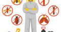 JT Solution – Pest Control & Fumigation in Roodepoort