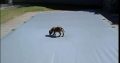 Swimming pool Covers